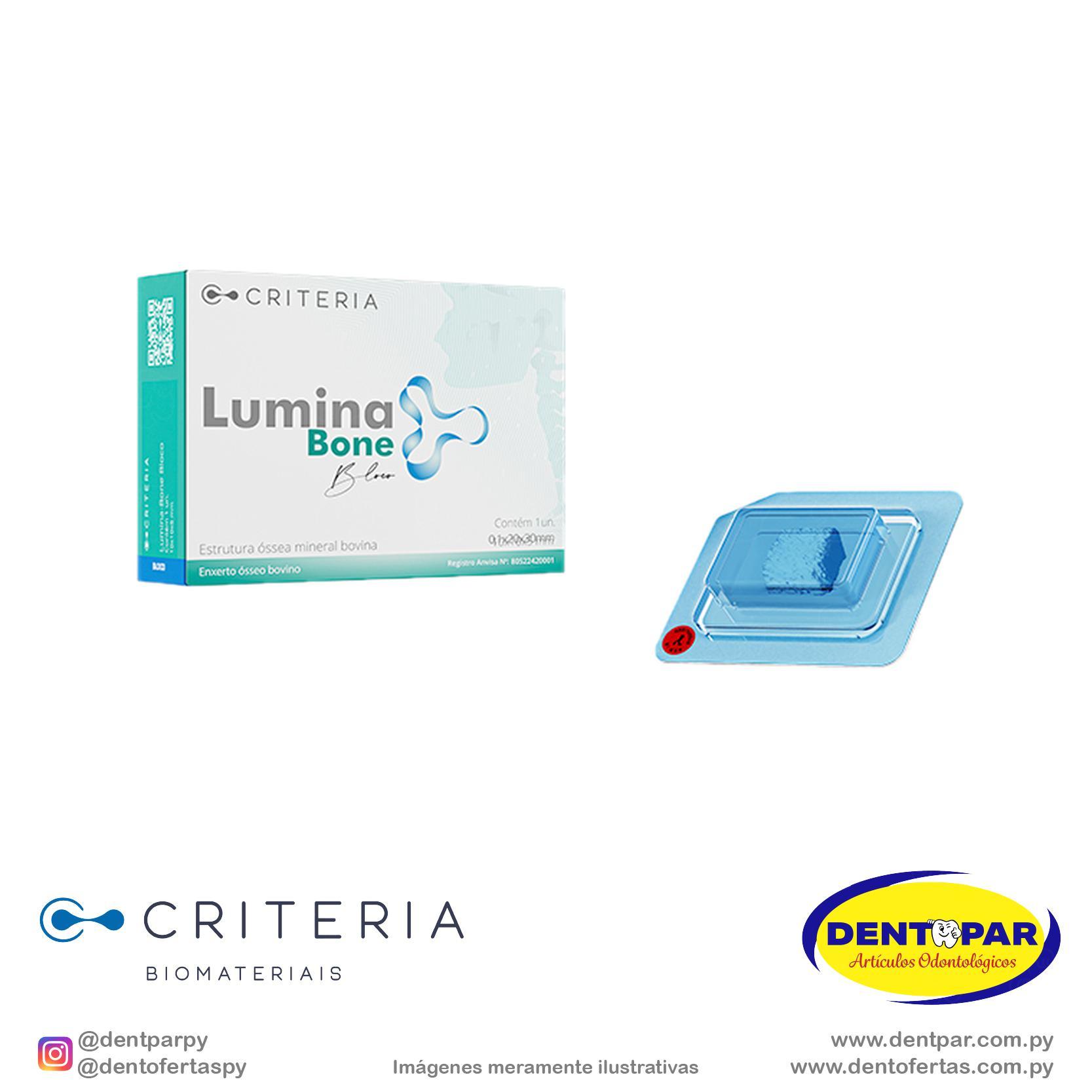Imagen del producto Lumina BONE BLOQUE 5x10x10mm