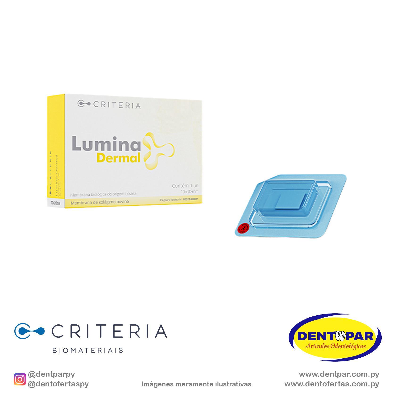 Imagen del producto Lumina DERMAL 10x20x2mm