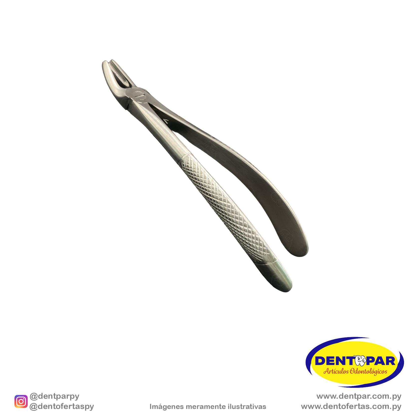 Imagen del producto Fórceps Modelo INGLES #7