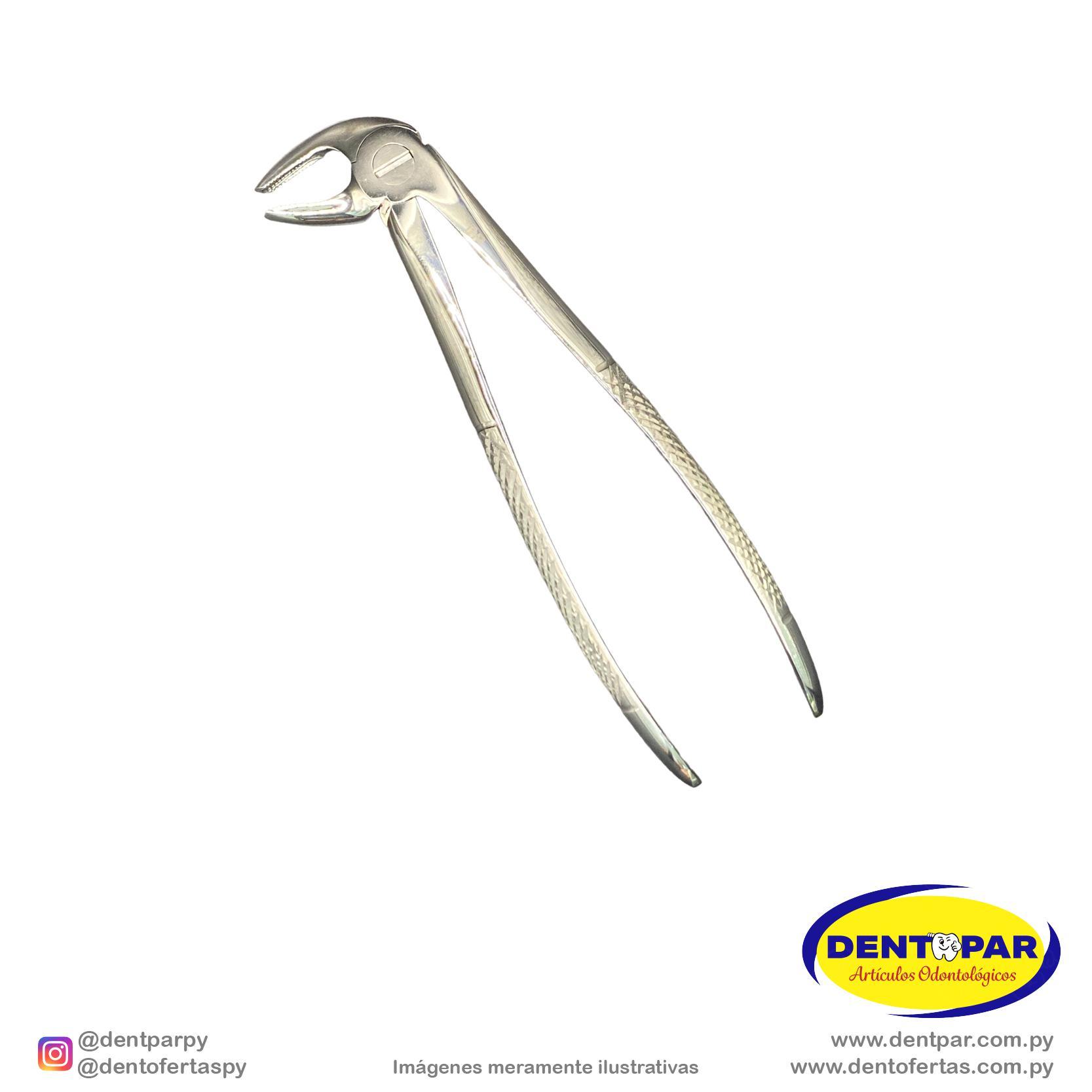 Imagen del producto Fórceps Modelo INGLES #13
