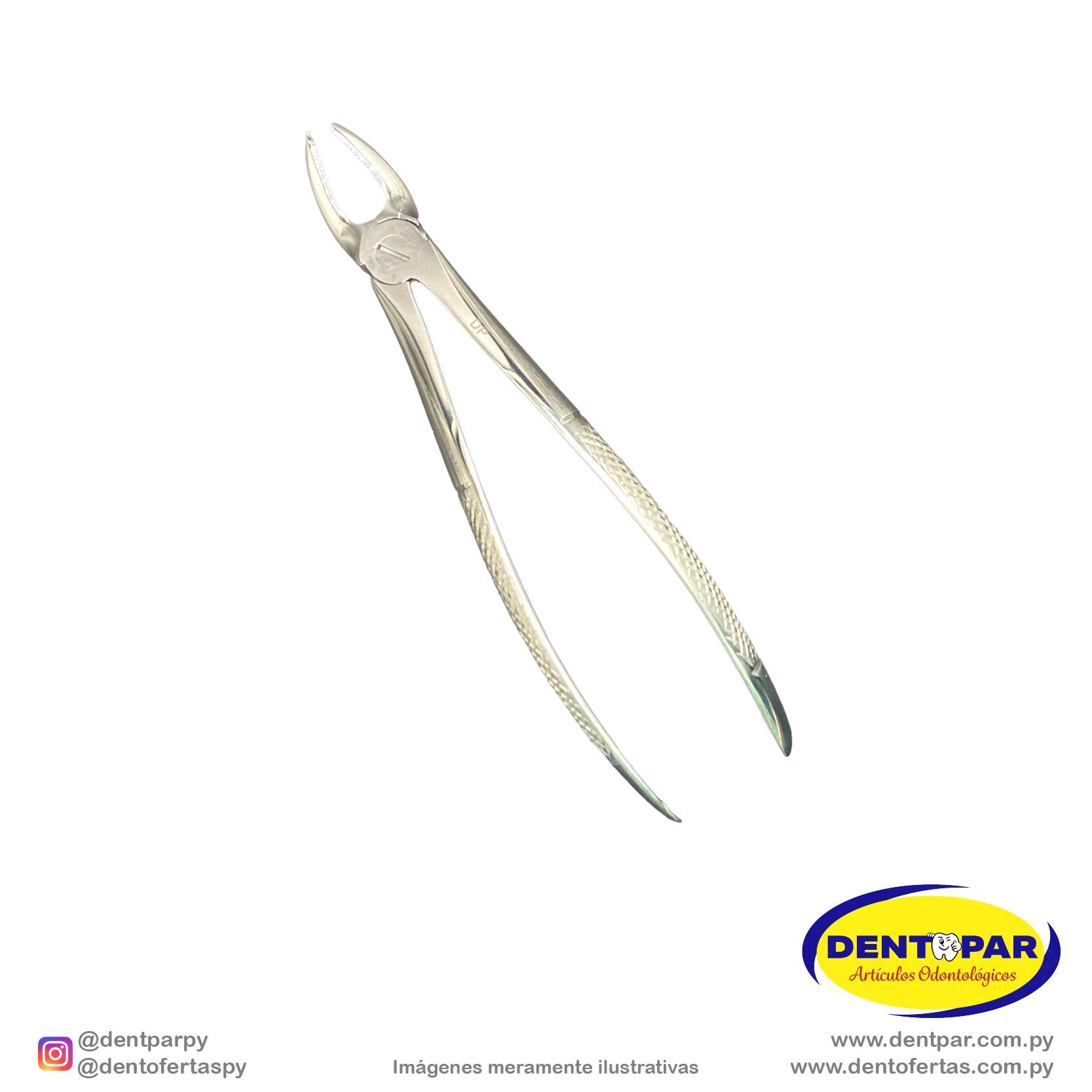 Imagen del producto Fórceps Modelo INGLES #17