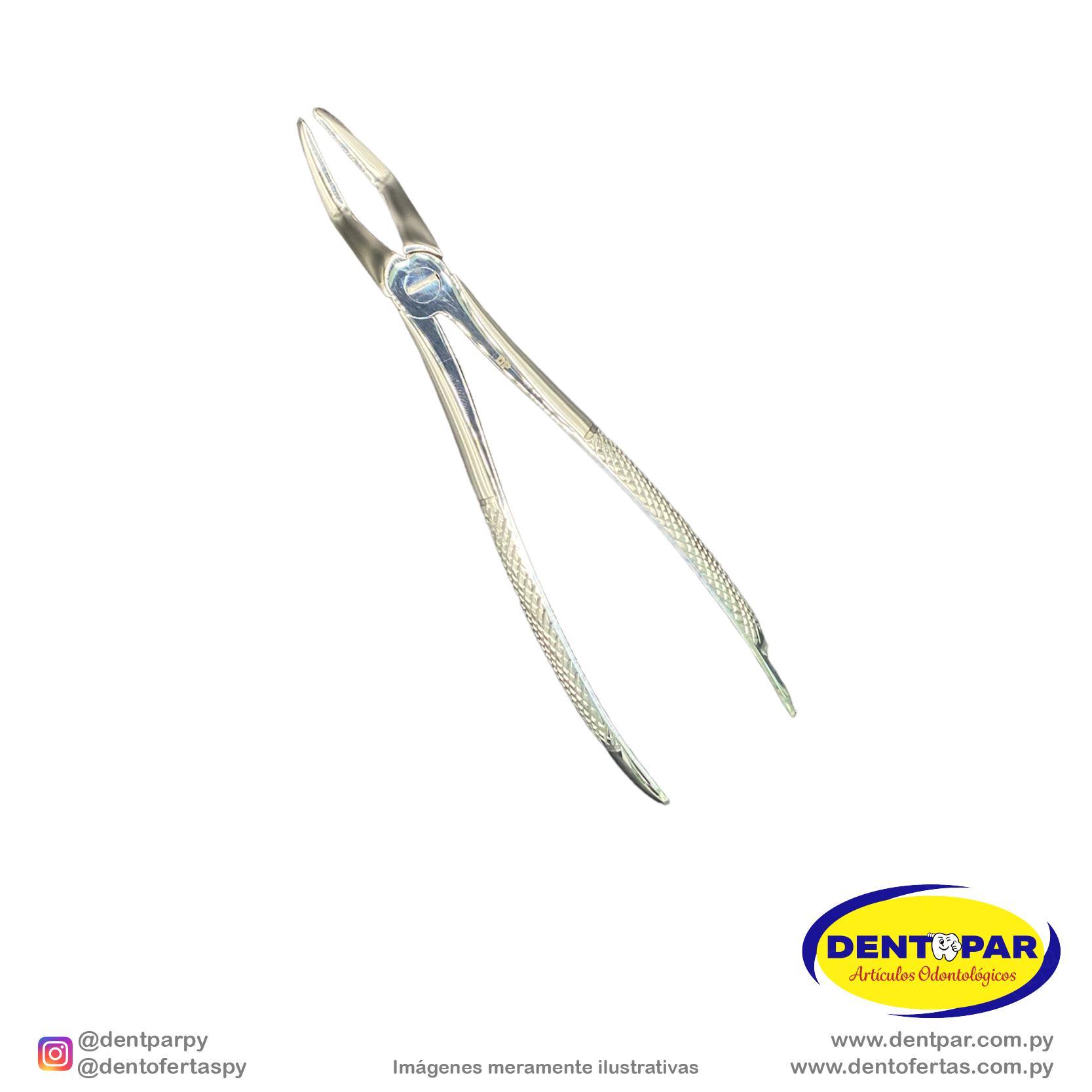 Imagen del producto Fórceps Modelo INGLES #51