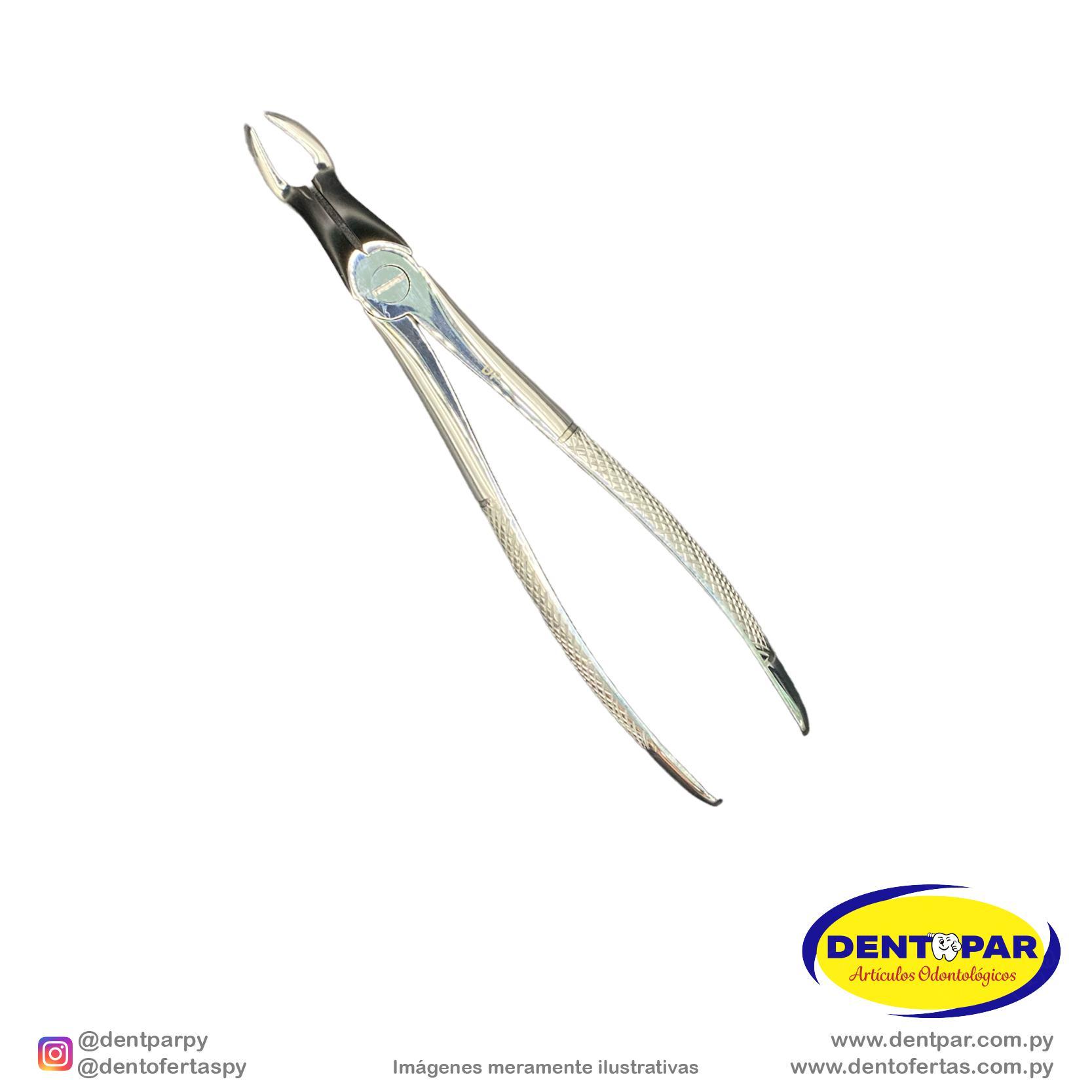 Imagen del producto Fórceps Modelo INGLES #67A