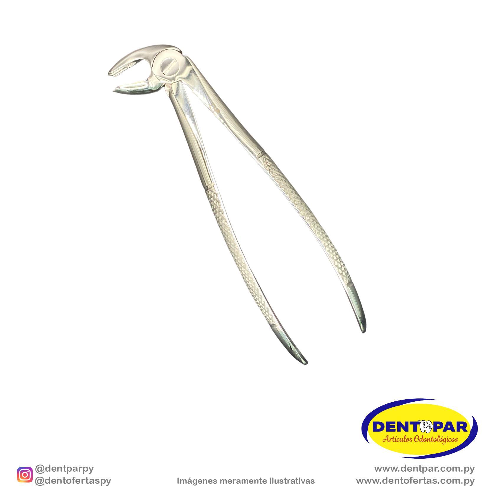 Imagen del producto Fórceps Modelo INGLES #22