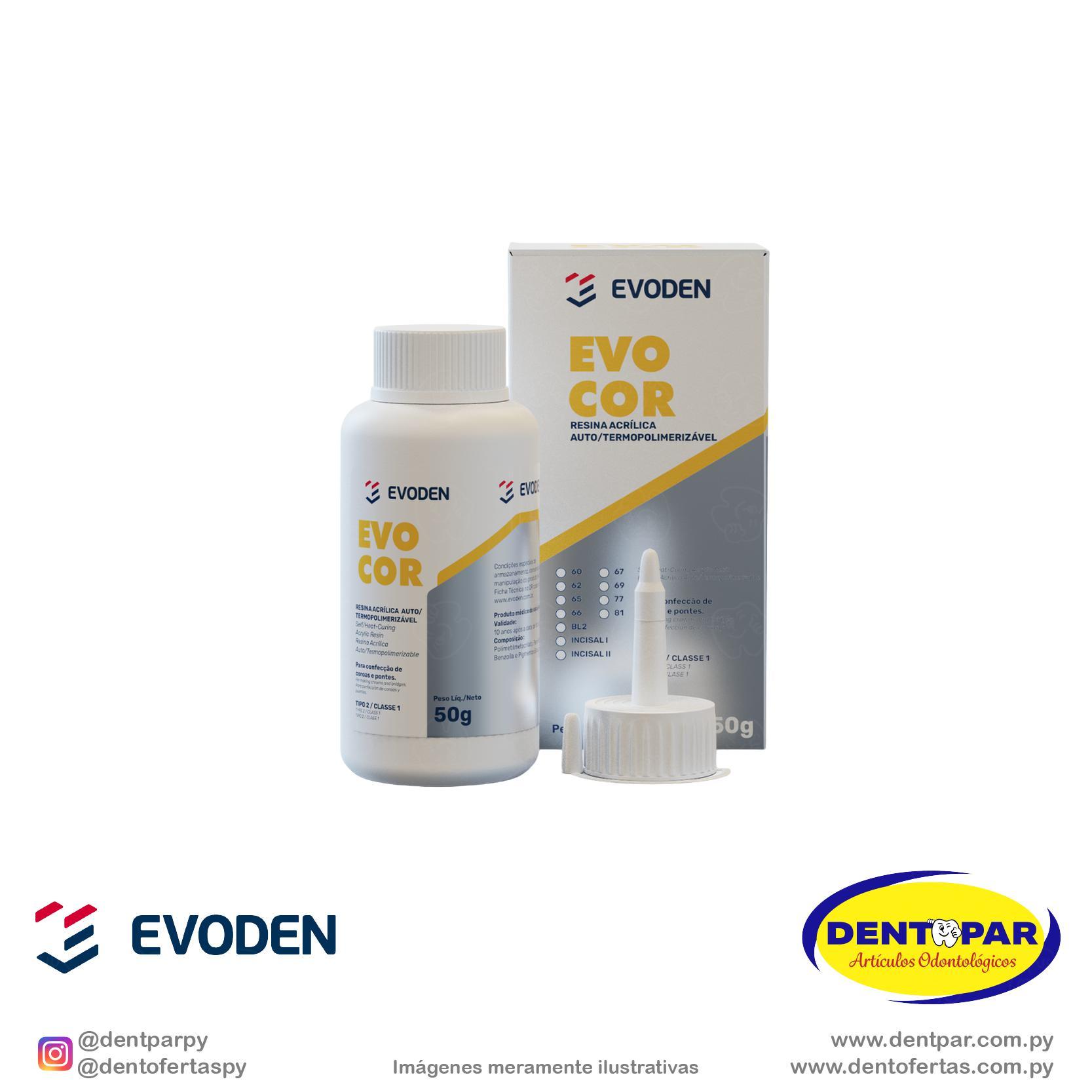 Imagen del producto Resina Acrílica Bivalente Evocor 50gr