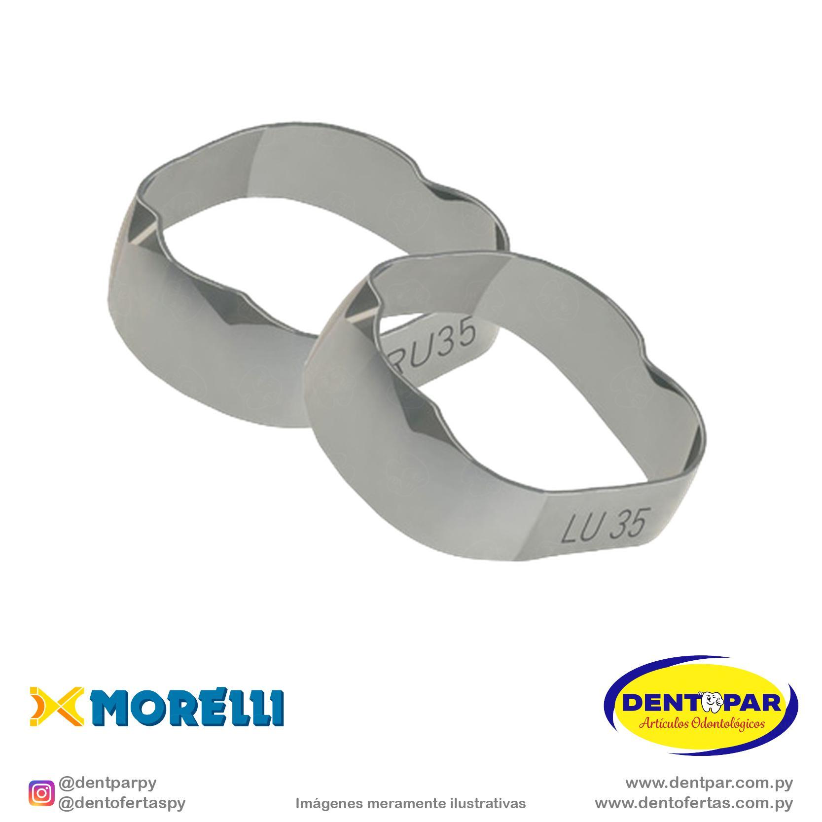 Imagen del producto Banda Anat 1y2 Mol S/D y S/I