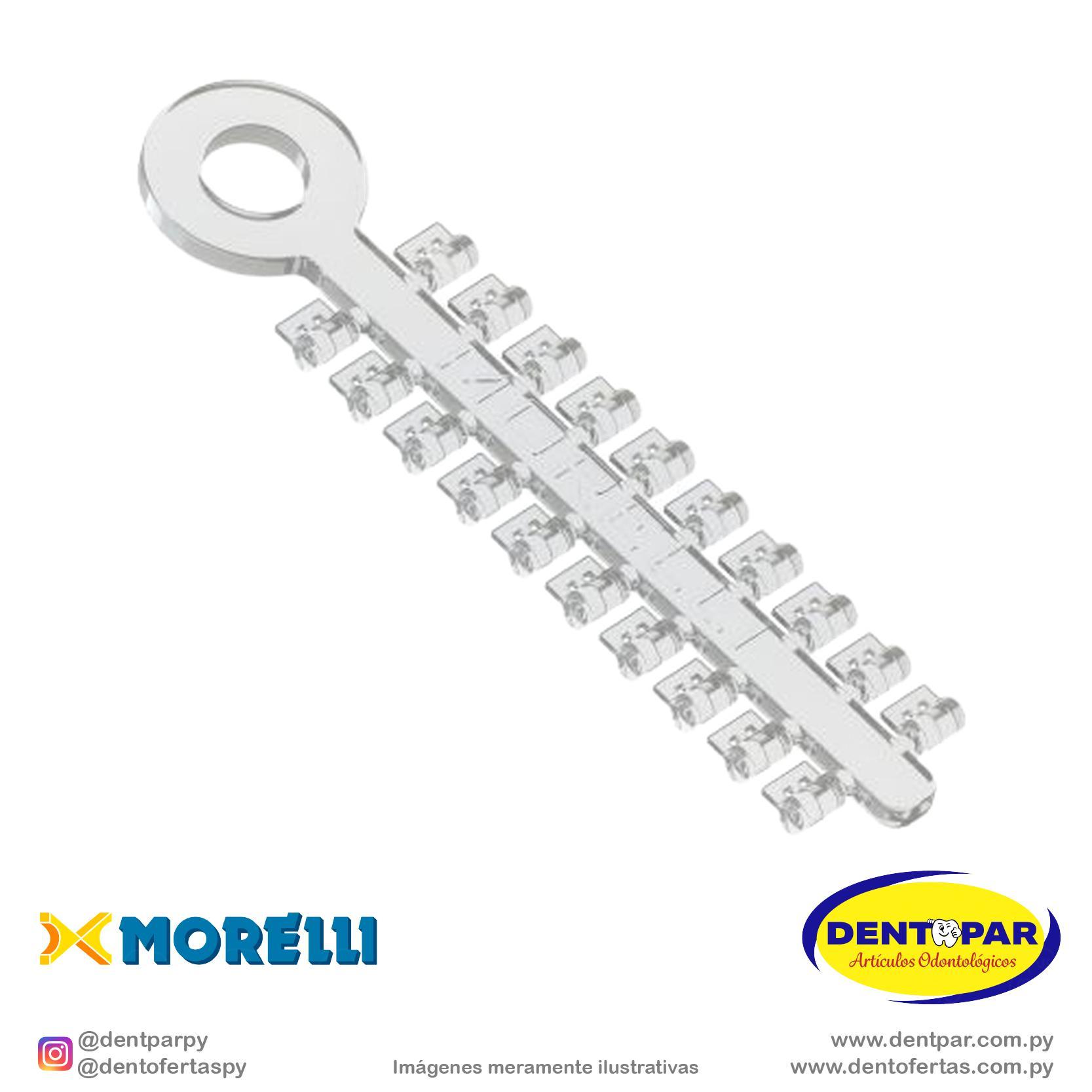Imagen del producto Elastic rotadores C/100