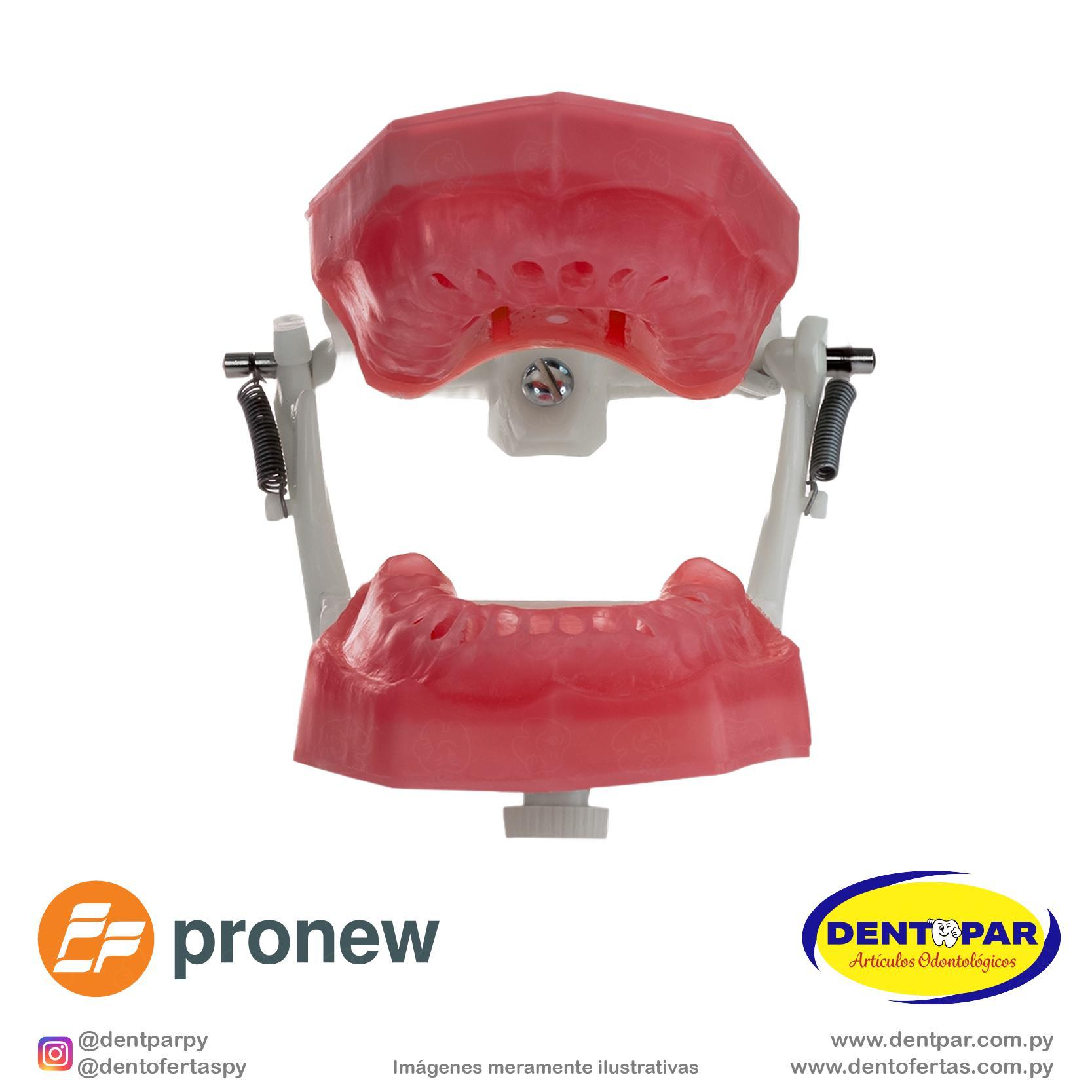 Imagen del producto Maniquí de Endodoncia