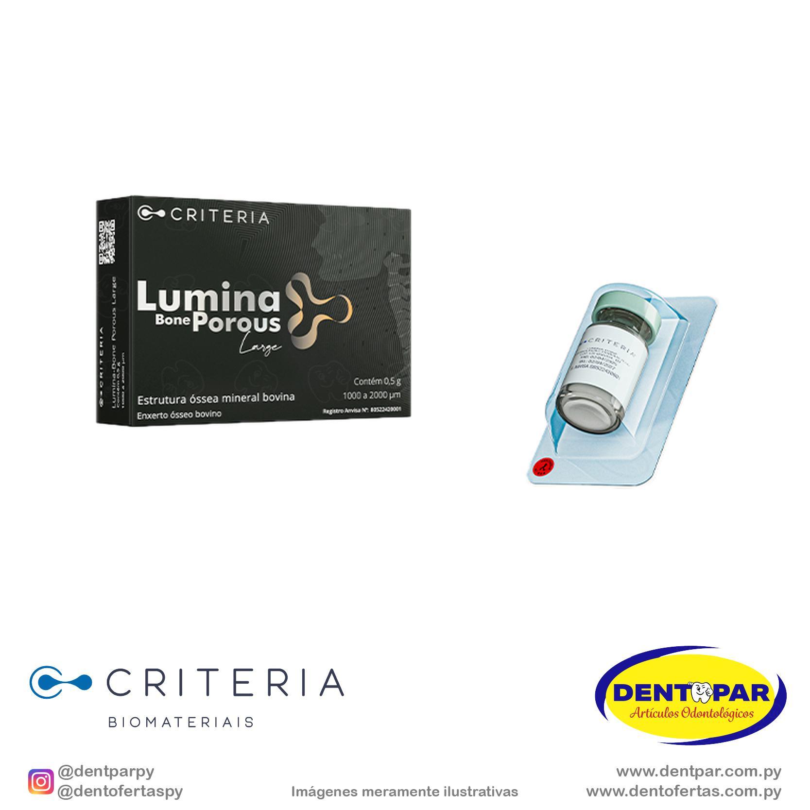 Imagen del producto Lumina BONE POROUS LARGE 0,5g