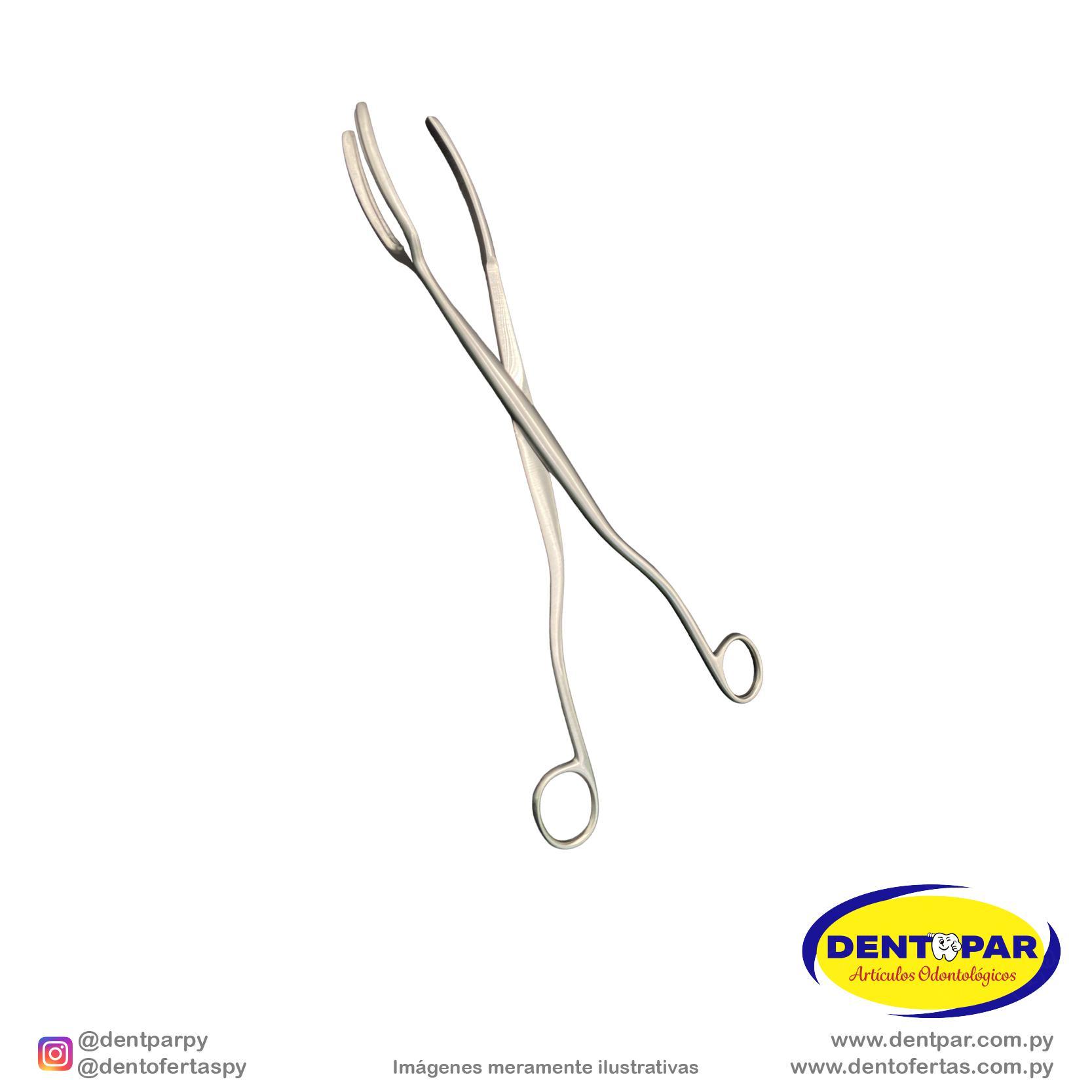 Imagen del producto Pinza p/ Esterilización ROGGE 30cm