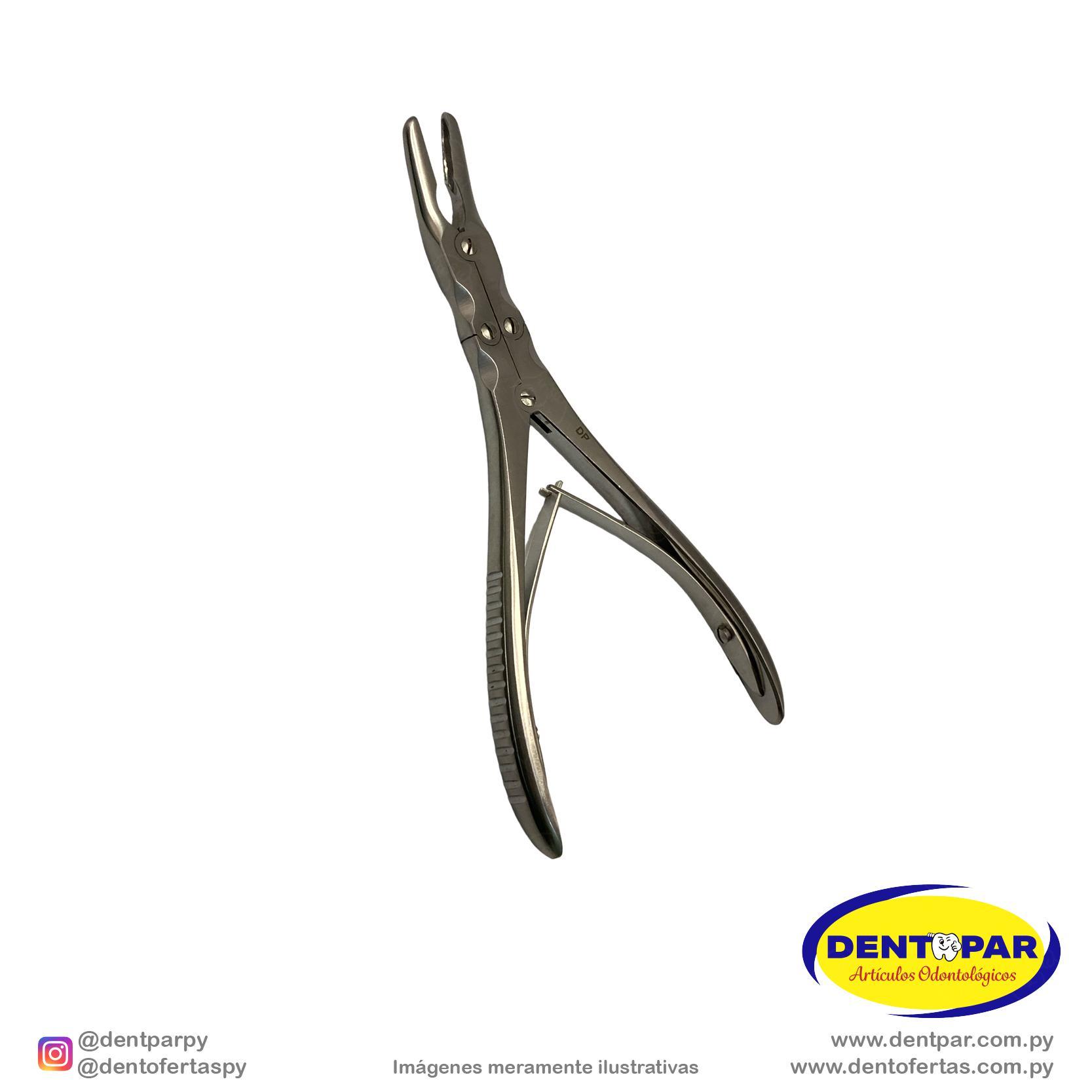 Imagen del producto Pinza GUBIA BEYER 18cm ALVEOLOTOMO