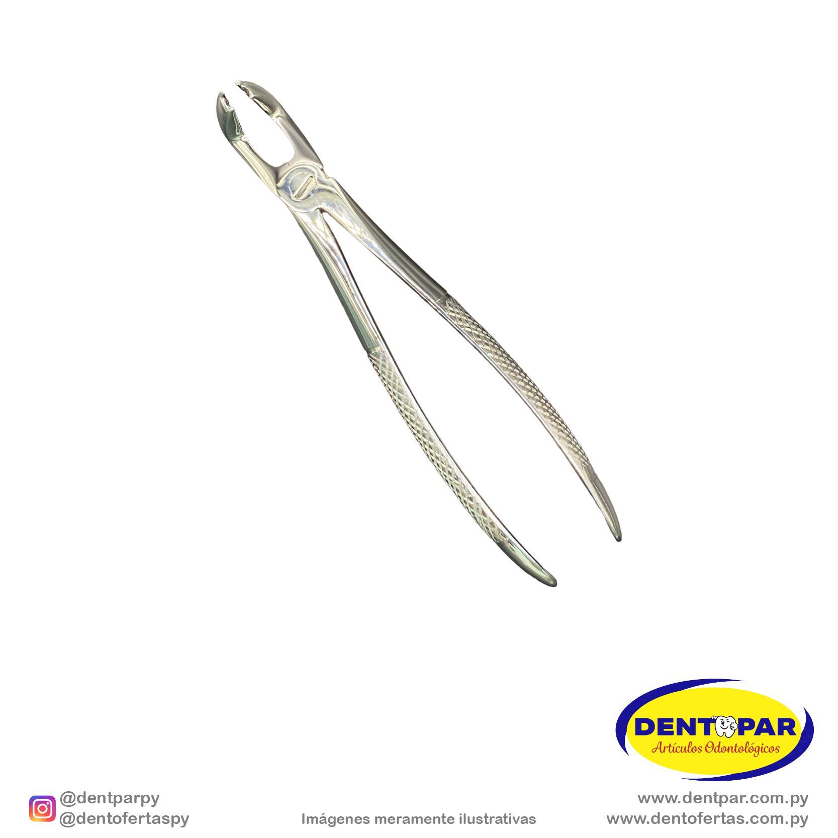 Imagen del producto Fórceps Modelo INGLES #79