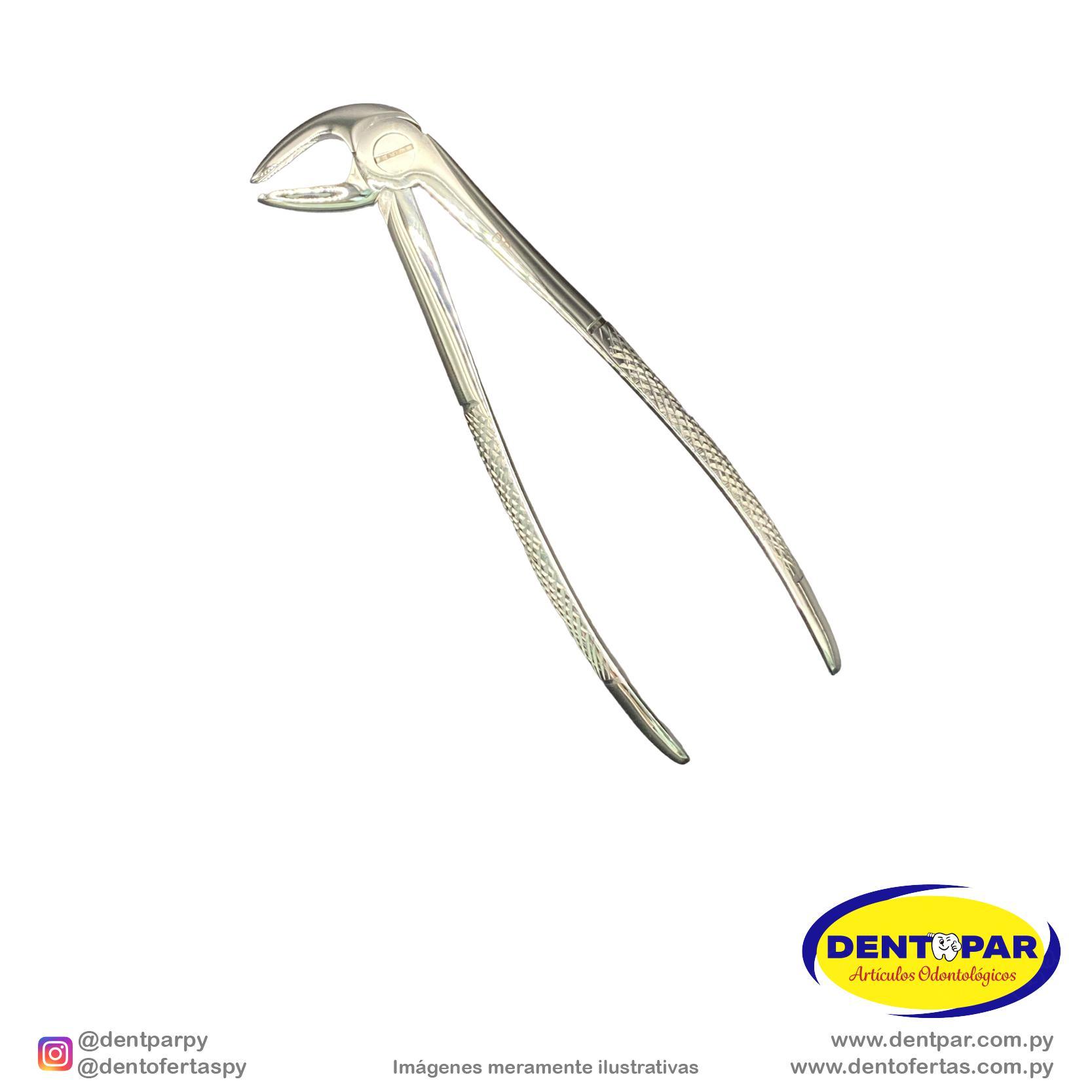 Imagen del producto Fórceps Modelo INGLES #33