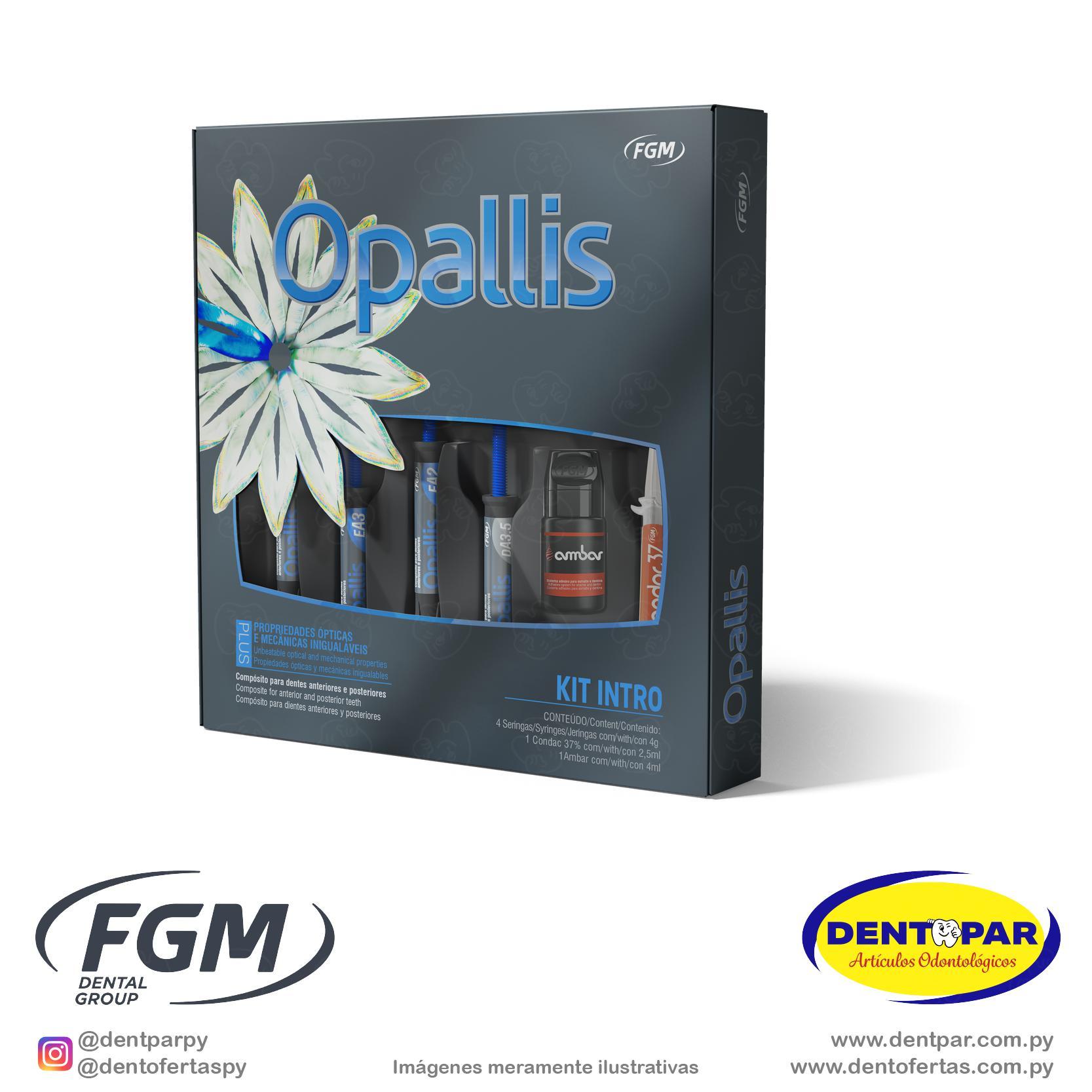Imagen del producto Resina Opallis