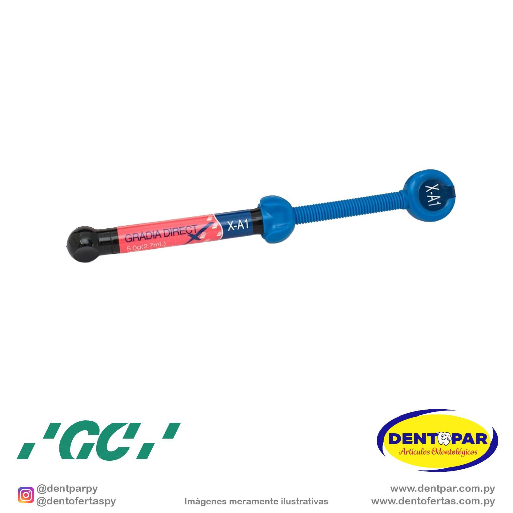 Imagen del producto Gradia Direct X 5g