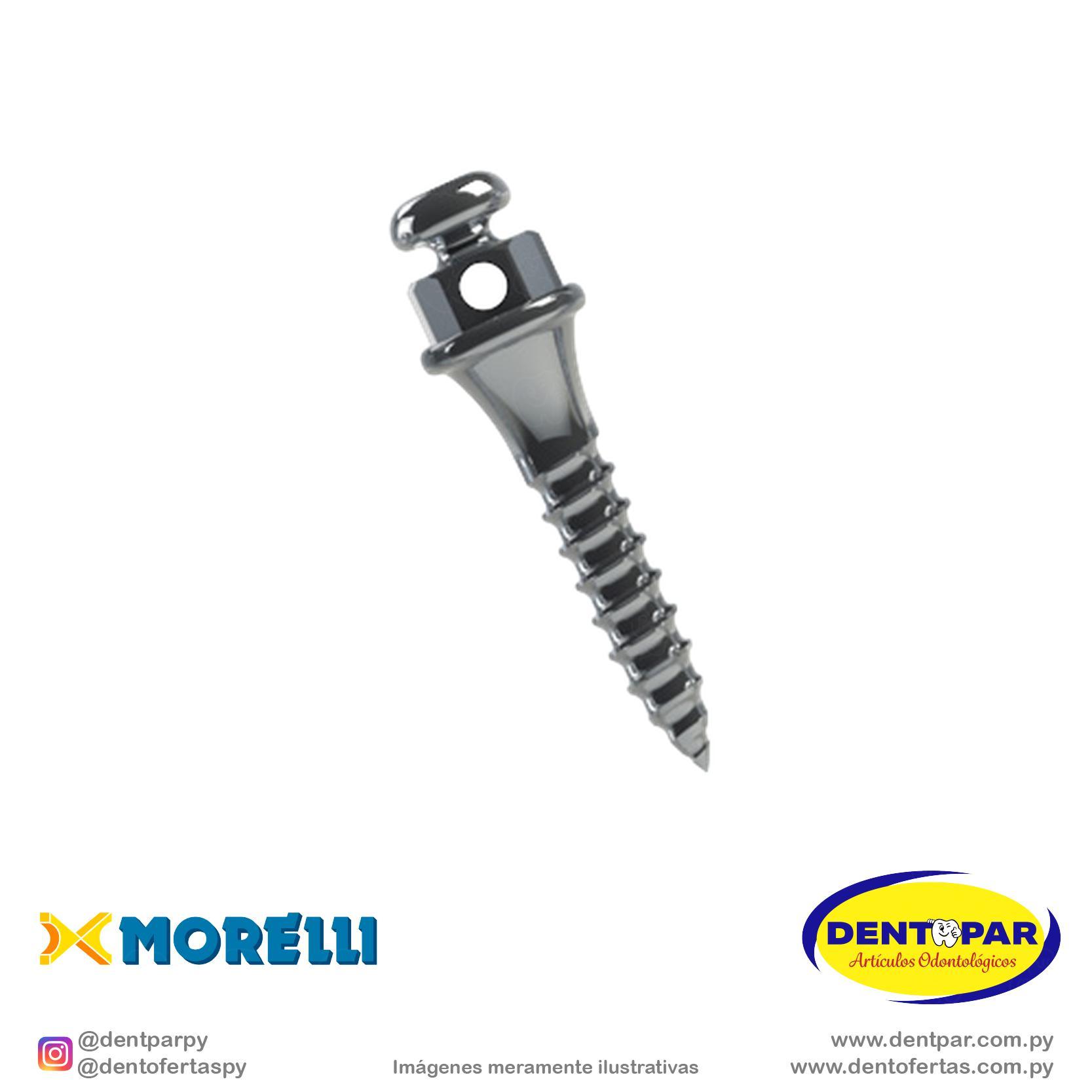 Imagen del producto Implante P/ Anclaje Ort.C/2 6mm*2mm