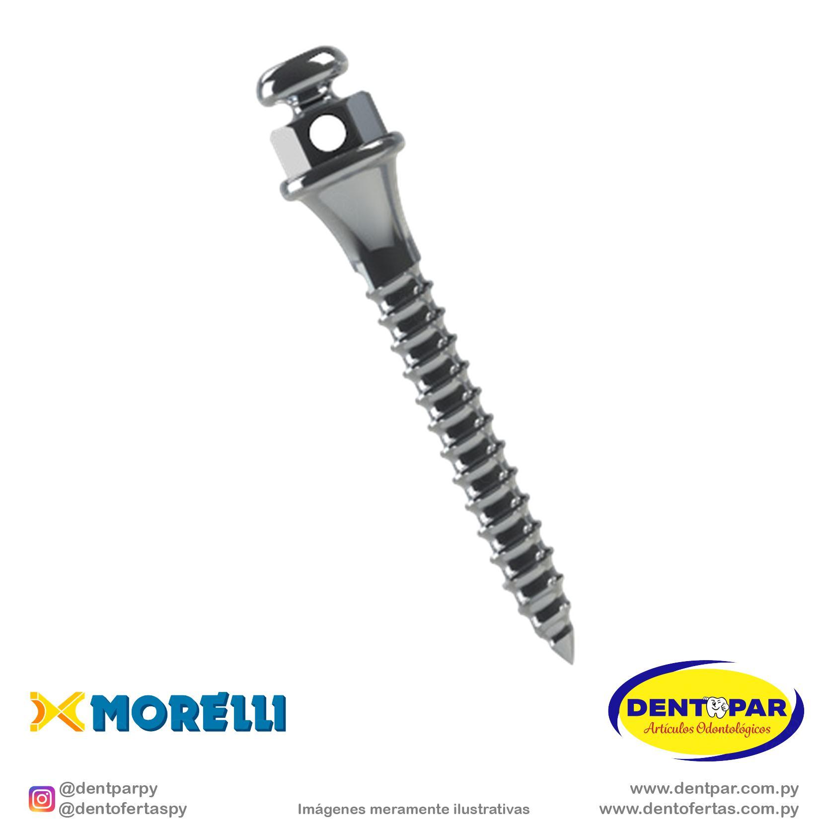 Imagen del producto Implante P/ Anclaje Ort.C/2 10mm*2mm