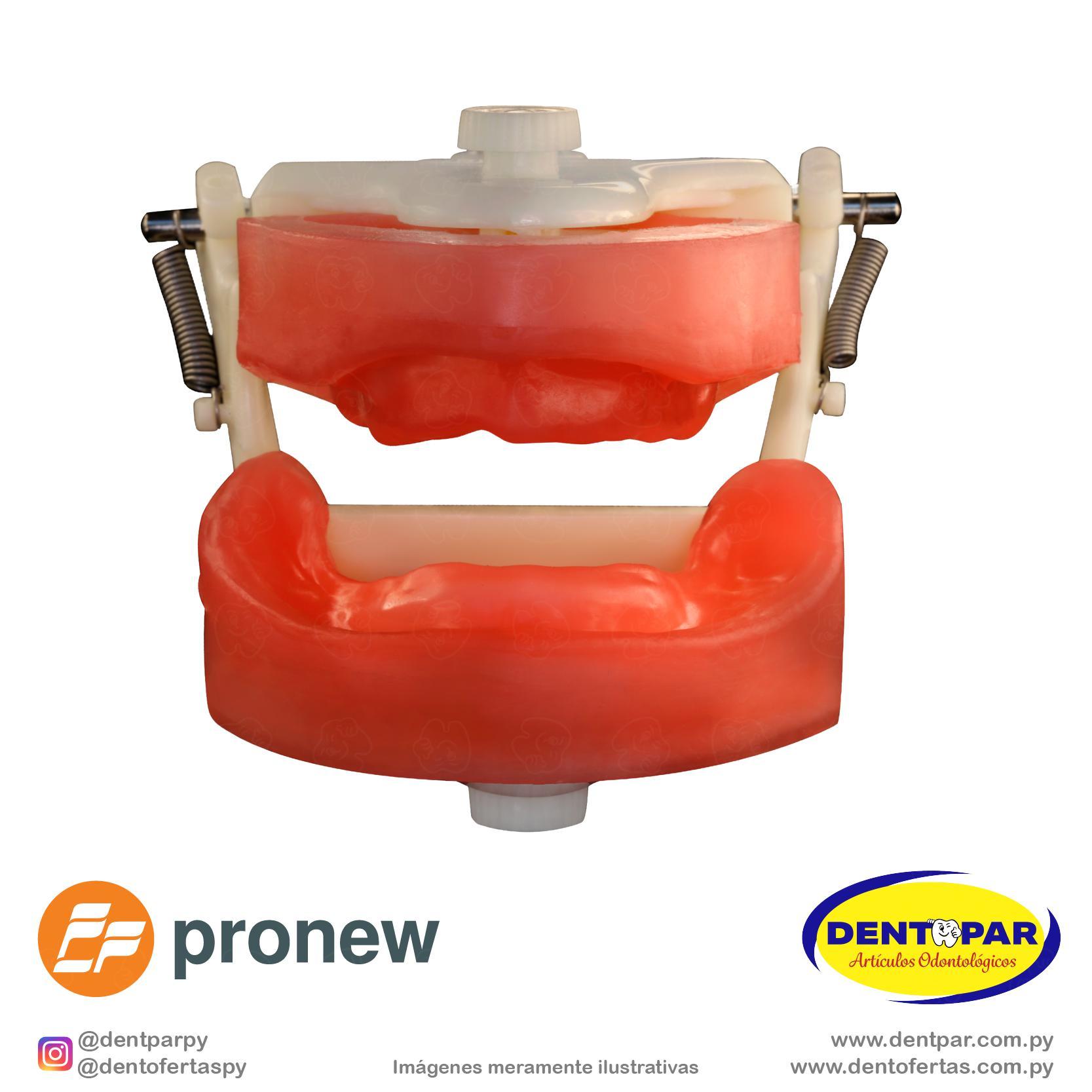 Imagen del producto Maniquí de Prótesis Total F3 Desdentado